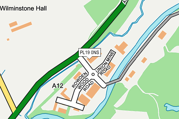 PL19 0NS map - OS OpenMap – Local (Ordnance Survey)