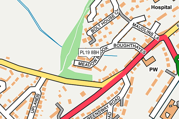 PL19 8BH map - OS OpenMap – Local (Ordnance Survey)