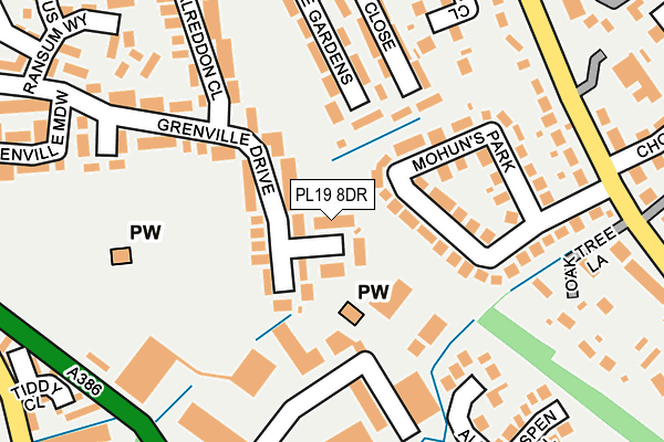 PL19 8DR map - OS OpenMap – Local (Ordnance Survey)