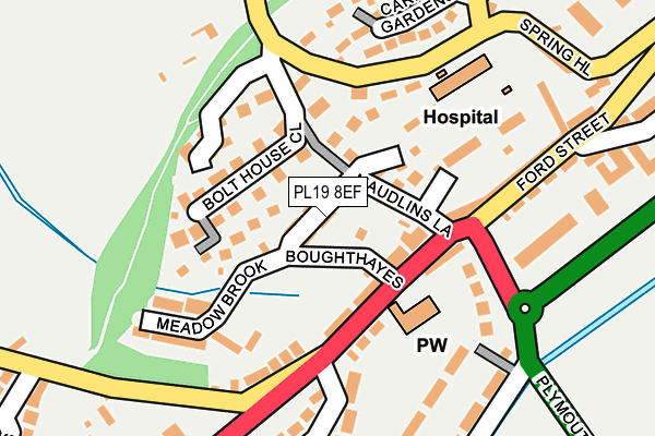 PL19 8EF map - OS OpenMap – Local (Ordnance Survey)