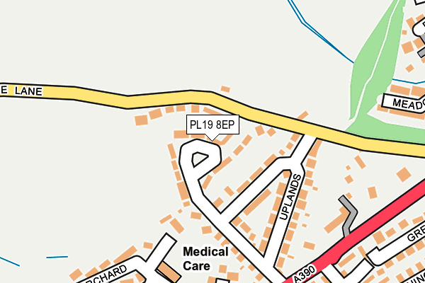 PL19 8EP map - OS OpenMap – Local (Ordnance Survey)