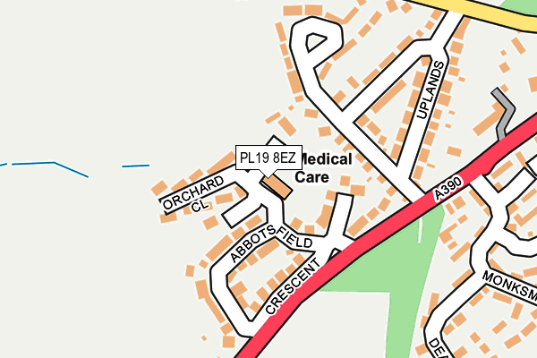 PL19 8EZ map - OS OpenMap – Local (Ordnance Survey)