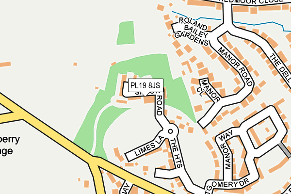 PL19 8JS map - OS OpenMap – Local (Ordnance Survey)