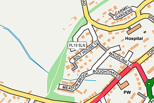 PL19 8LN map - OS OpenMap – Local (Ordnance Survey)