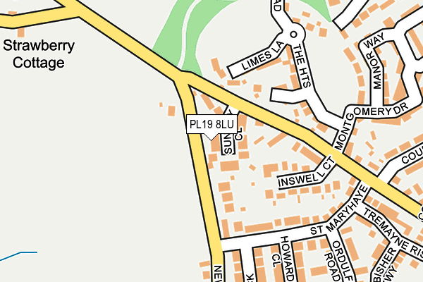 PL19 8LU map - OS OpenMap – Local (Ordnance Survey)