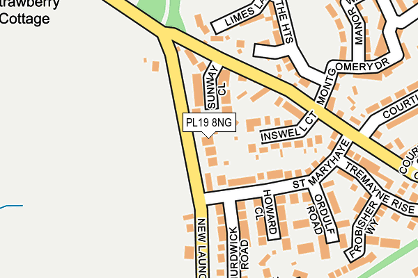 PL19 8NG map - OS OpenMap – Local (Ordnance Survey)