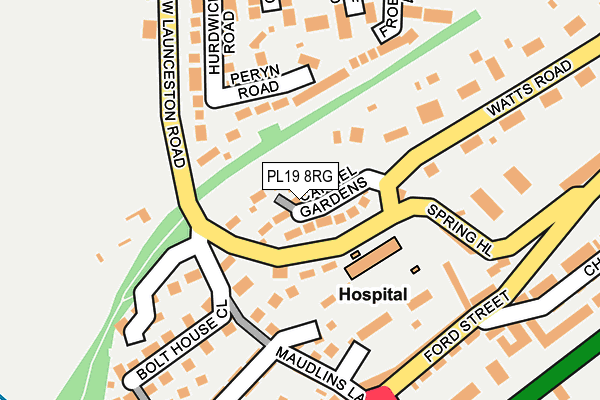 PL19 8RG map - OS OpenMap – Local (Ordnance Survey)
