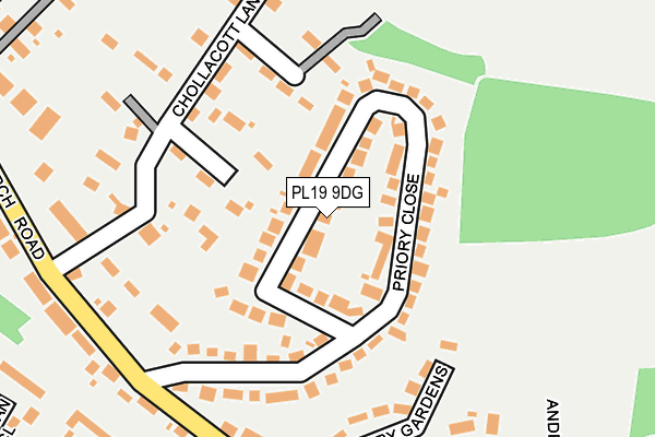 PL19 9DG map - OS OpenMap – Local (Ordnance Survey)