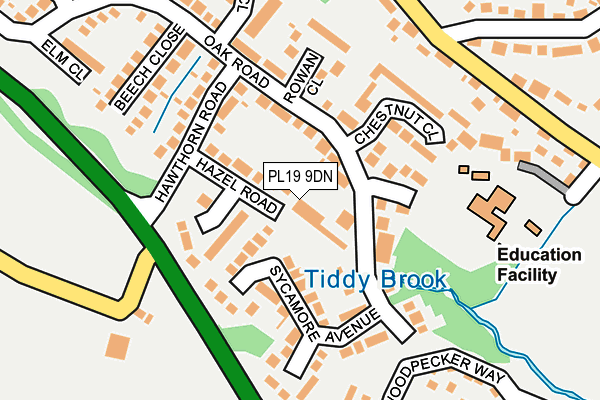 PL19 9DN map - OS OpenMap – Local (Ordnance Survey)