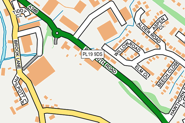 PL19 9DS map - OS OpenMap – Local (Ordnance Survey)