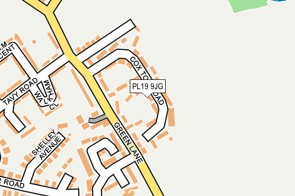 PL19 9JG map - OS OpenMap – Local (Ordnance Survey)