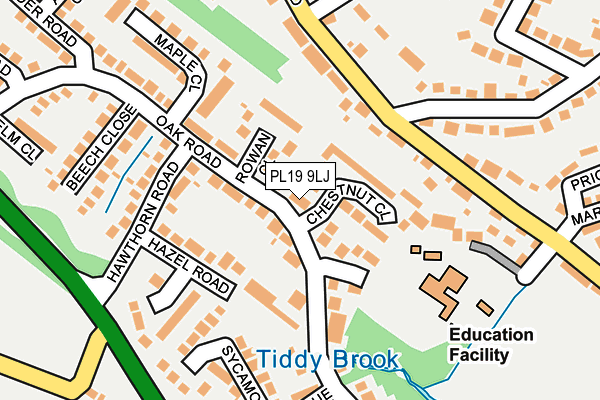 PL19 9LJ map - OS OpenMap – Local (Ordnance Survey)