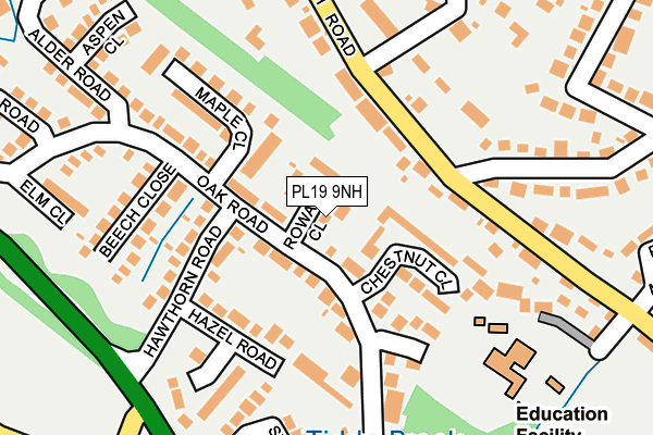PL19 9NH map - OS OpenMap – Local (Ordnance Survey)