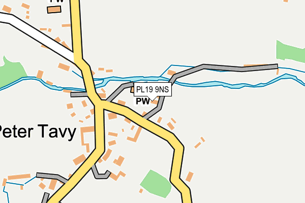 PL19 9NS map - OS OpenMap – Local (Ordnance Survey)