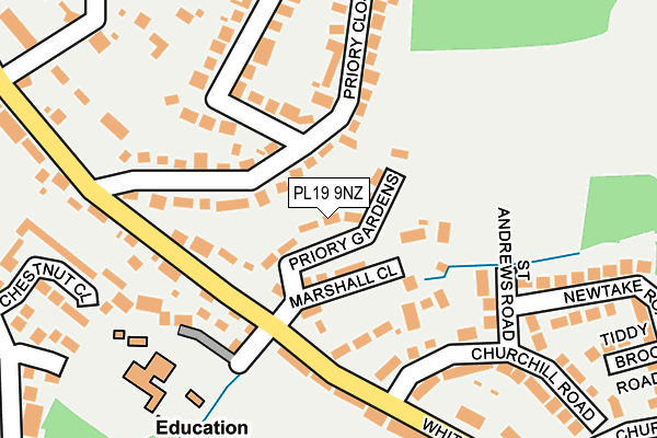 PL19 9NZ map - OS OpenMap – Local (Ordnance Survey)