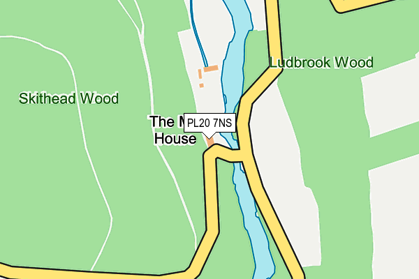 PL20 7NS map - OS OpenMap – Local (Ordnance Survey)