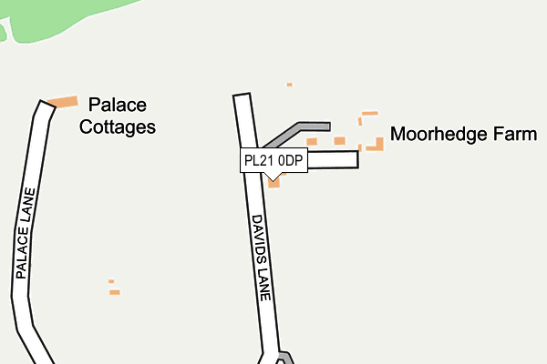 PL21 0DP map - OS OpenMap – Local (Ordnance Survey)