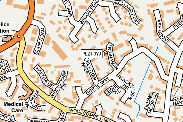 PL21 0YJ map - OS OpenMap – Local (Ordnance Survey)