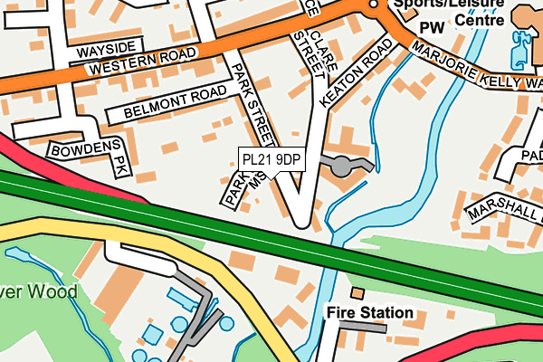 PL21 9DP map - OS OpenMap – Local (Ordnance Survey)
