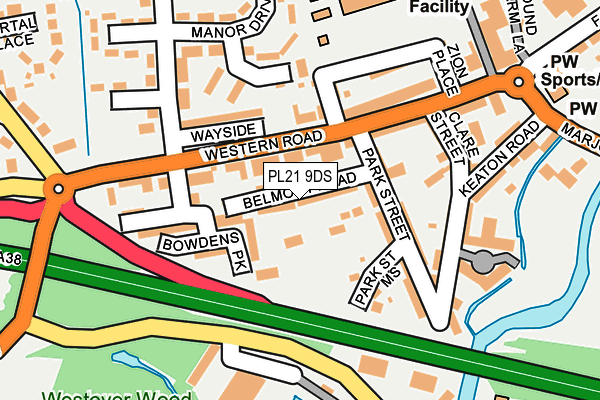 PL21 9DS map - OS OpenMap – Local (Ordnance Survey)