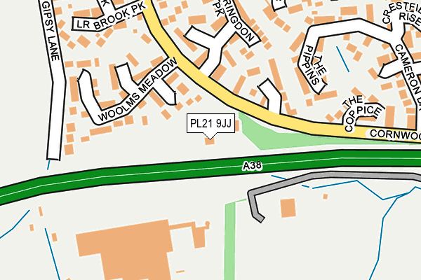 PL21 9JJ map - OS OpenMap – Local (Ordnance Survey)
