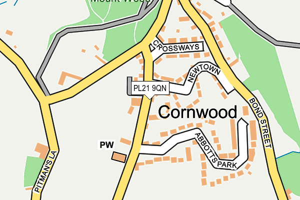 PL21 9QN map - OS OpenMap – Local (Ordnance Survey)