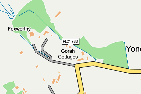 PL21 9SS map - OS OpenMap – Local (Ordnance Survey)