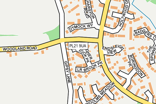 PL21 9UA map - OS OpenMap – Local (Ordnance Survey)