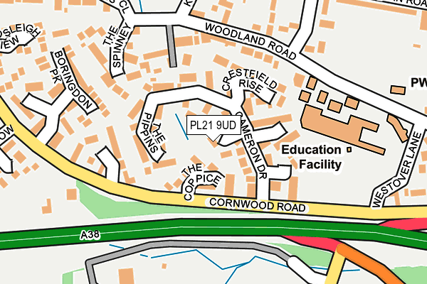 PL21 9UD map - OS OpenMap – Local (Ordnance Survey)