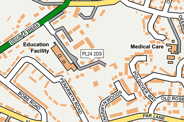 PL24 2DS map - OS OpenMap – Local (Ordnance Survey)