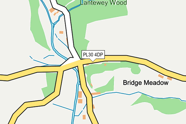 PL30 4DP map - OS OpenMap – Local (Ordnance Survey)