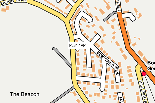 PL31 1AP map - OS OpenMap – Local (Ordnance Survey)