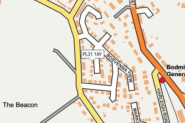 PL31 1AY map - OS OpenMap – Local (Ordnance Survey)