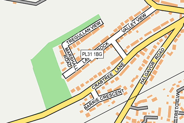 PL31 1BG map - OS OpenMap – Local (Ordnance Survey)