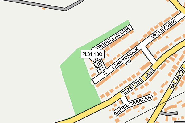 PL31 1BQ map - OS OpenMap – Local (Ordnance Survey)