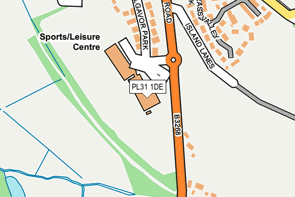 PL31 1DE map - OS OpenMap – Local (Ordnance Survey)