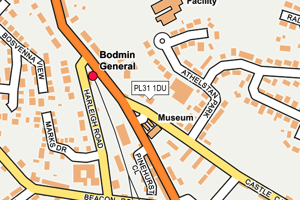 PL31 1DU map - OS OpenMap – Local (Ordnance Survey)