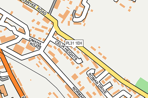 PL31 1EH map - OS OpenMap – Local (Ordnance Survey)