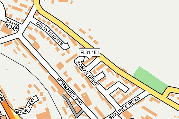 PL31 1EJ map - OS OpenMap – Local (Ordnance Survey)