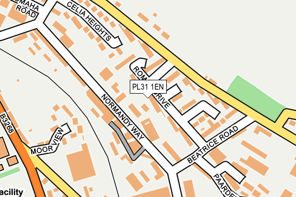 PL31 1EN map - OS OpenMap – Local (Ordnance Survey)