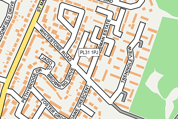 PL31 1PJ map - OS OpenMap – Local (Ordnance Survey)