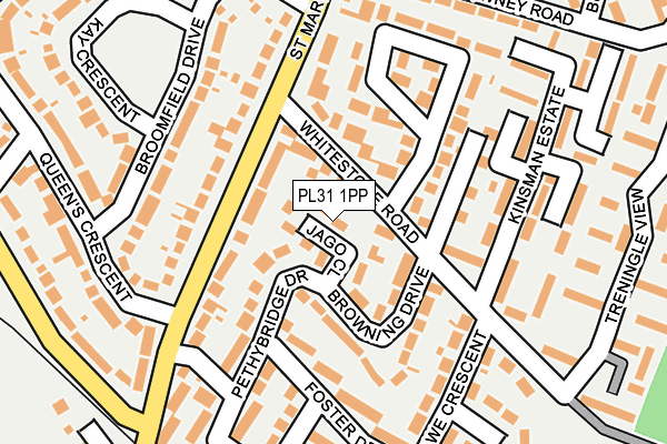 PL31 1PP map - OS OpenMap – Local (Ordnance Survey)