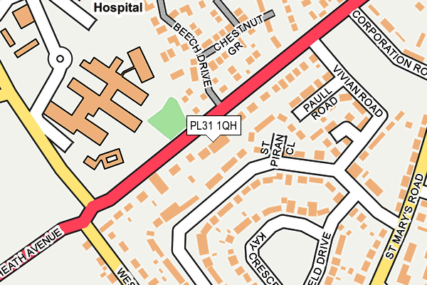 PL31 1QH map - OS OpenMap – Local (Ordnance Survey)