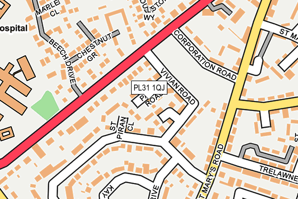 PL31 1QJ map - OS OpenMap – Local (Ordnance Survey)