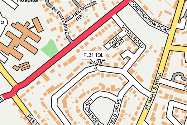 PL31 1QL map - OS OpenMap – Local (Ordnance Survey)