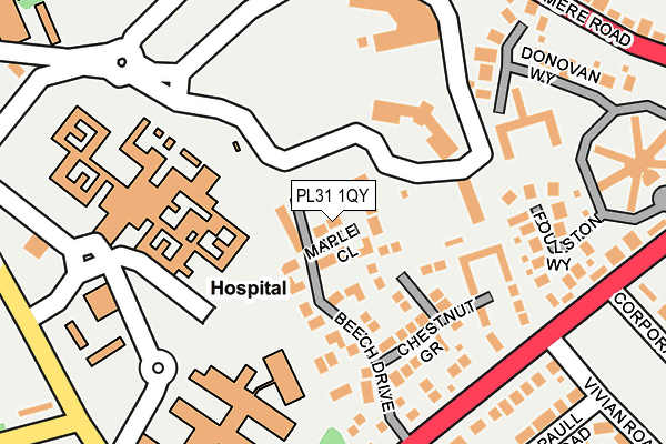 PL31 1QY map - OS OpenMap – Local (Ordnance Survey)