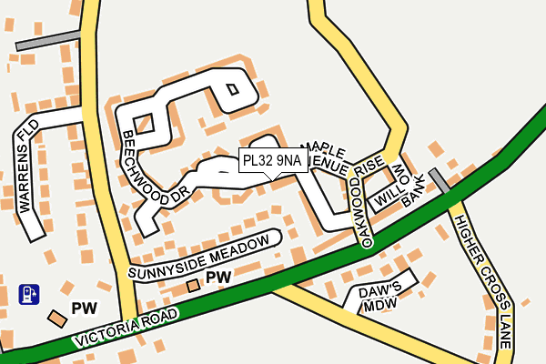 PL32 9NA map - OS OpenMap – Local (Ordnance Survey)