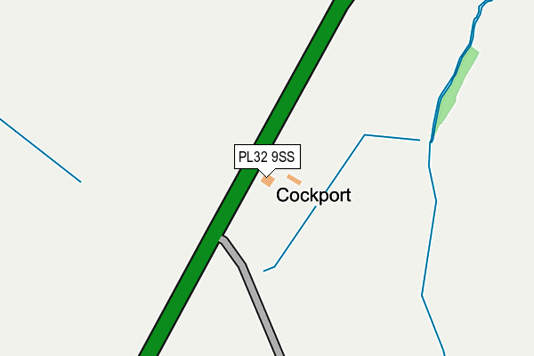PL32 9SS map - OS OpenMap – Local (Ordnance Survey)