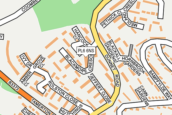 PL6 6NS map - OS OpenMap – Local (Ordnance Survey)