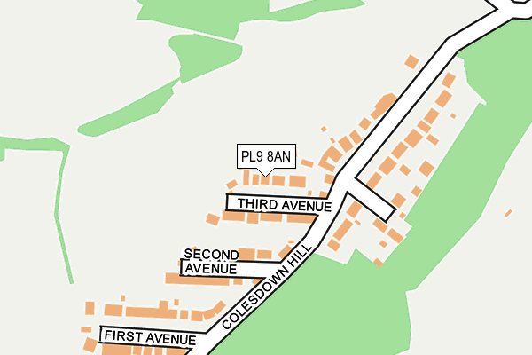 PL9 8AN map - OS OpenMap – Local (Ordnance Survey)